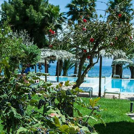 Corfu Senses فندق 3*